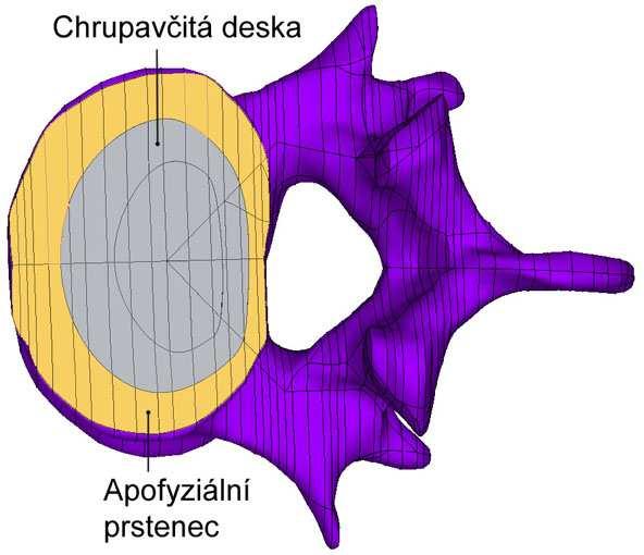 3 Detaily modelu geometrie Konečnoprvkový model byl také vytvořen pomocí programového systému Ansys. Pro vytvoření konečnoprvkové sítě byly použity celkem čtyři typy prvků.