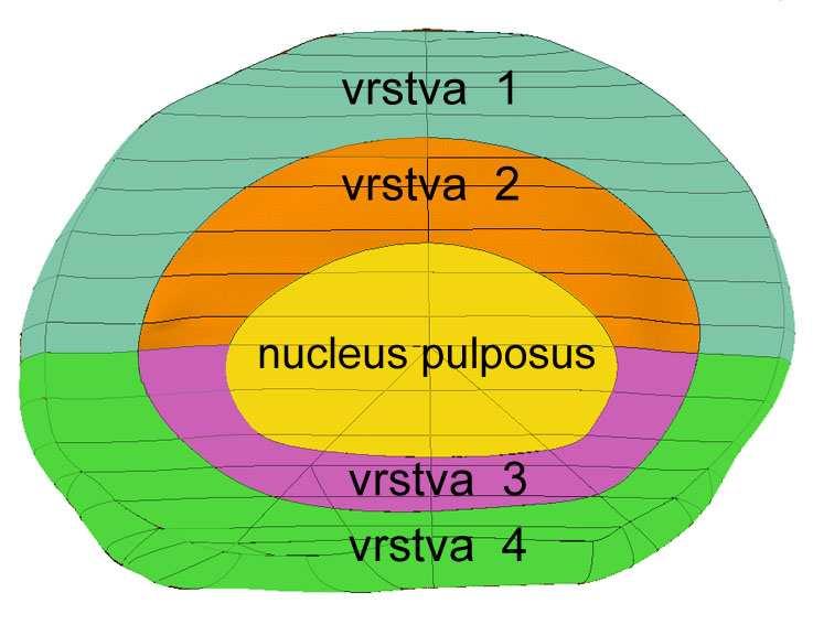 S přihlédnutím ke geometrii modelu pohybového segmentu byly pro jednotlivé komponenty zvoleny následující typy elementů: prvek segmentu kortikální kost typ elementu spongiózní kost SOLID 95 nucleus