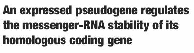 Pseudogeny Definice: - sekvence podobná genu, nekóduje funkční produkt - nefunkční relikt původně funkčního genu Problém definice: - pseudogen může plnit důležitou funkci (nekódující RNA, regulační