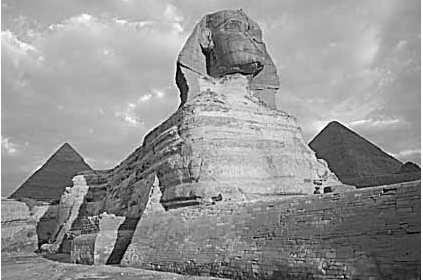Původ genu Sphinx (spx) spx vznikl inzercí