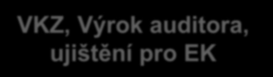 VKZ, Výrok auditora, ujištění pro EK 109 Bod 4 Jak k prevenci přispíváme?