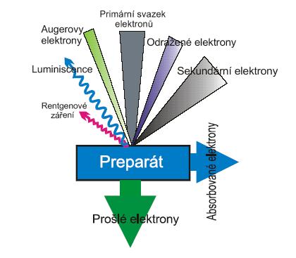 Obrázek 4.5: Interakce primárního elektronového svazku se studovaným vzorkem a vytvářejí tzv. primární svazek elektronů.