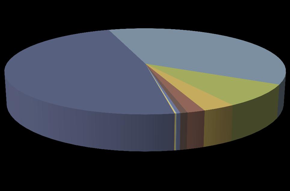 Štatistiky bezpečnostných incidentov v SR verejná správa Typ incidentu Počet Vulnerabilities 5 126 Bots 4 035 Malware 902 Ddosreport 343 Virut 188 Defacement 75 Malwareurl 40