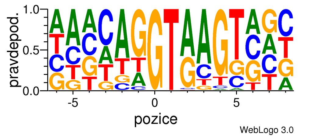Sekvenční logo Jedná se o grafickou reprezentaci několika seřazených sekvencí, která proporčně zobrazuje výskyt daných symbolů na určitých pozicích. Na obrázku 2.
