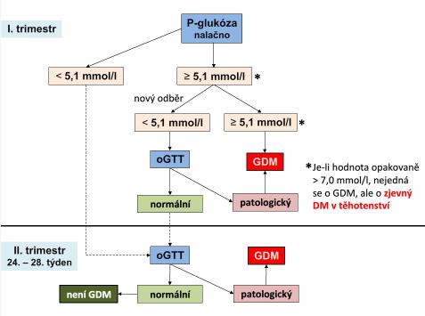 Ostatní specifické typy diabetu Obrázek 1: Schéma vyšetření GDM. [9] Existuje mnoho jiných příčin a onemocnění, které mohou vyvolat diabetes.