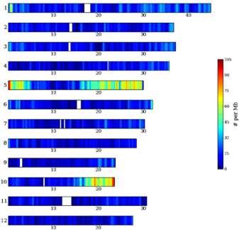 Sekvenování DNA tříděných chromosomů Sekvenování DNA amplifikované z