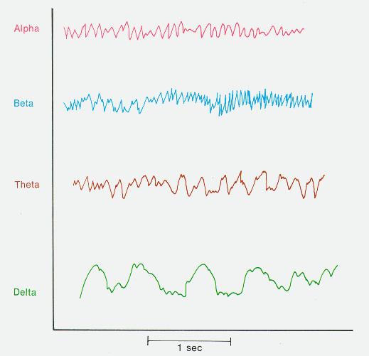 Elektroencefalografie Evokované potenciály Obrázek 2.2: Alfa, beta, théta a delta EEG rytmy.