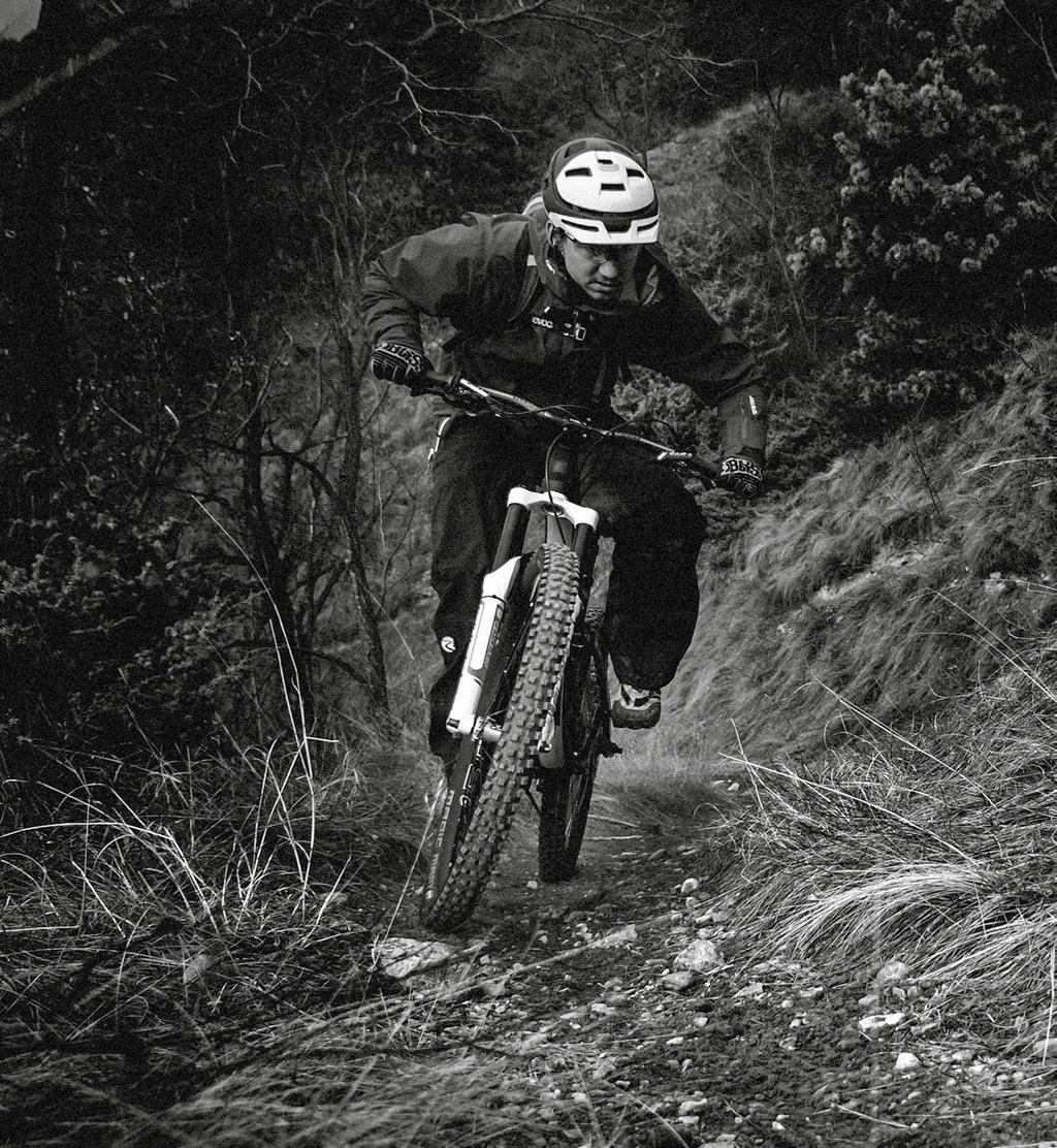 TRAIL 12 