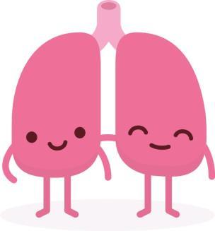 O 2 ve směsi plynů (alveolární