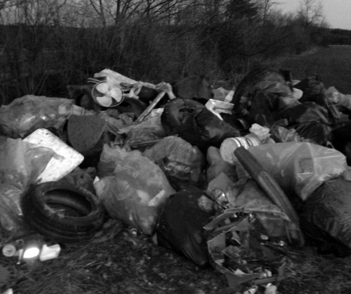 Vyčistili 6 kilo- metrový priestor pri štátnej ceste od jednej hranice katastra po druhú, vrátane niektorých vonkajších poľných ciest a jarkov, cholerového a židovského cintorína a detského ihriska