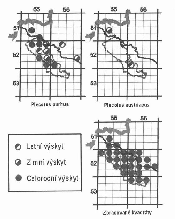 Obr. 2. Přehledové mapky s vyznačeným výskytem jednotlivých druhů netopýrů v PP Ještě d a okolí. Část 3, Plecotus auritus a P. austriacus; přehled kvadrátů, ve kterých byli studováni netopýři. Fig. 2. Maps with marked distribution of individual bat species in the PP Je ště d.