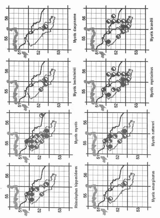 73 Obr. 2. Přehledové mapky s vyznačeným výskytem jednotlivých druhů netopýrů v PP Ještě d a okolí. Č ást 1, Rhinolophus hipposideros, Myotis myotis, M. bechsteinii, M.dasycneme, M. emarginatus, M.