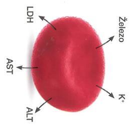 obsahu erytrocytu 2) ovplyvnenie