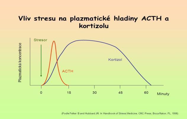 Faktory ovplyvniteľné. fyzická aktivita. psychický stres. potrava. tekutiny. alkohol ( GMT, ALT, AST; kys.listová, vit. B6). fajčenie. lieky. operácia.