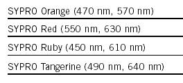 FLUORESCENČNÍ DETEKCE (4 8 ng/band) (4 8 ng/band) (1 2 ng/band; comparable to silver staining) (4 8 ng/band) Pigmenty se váží na detergentový (SDS) obal proteinu Sypro Ruby (kromě Sypro Ruby, ta se