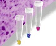 gel electrophoresis) Cyaninové