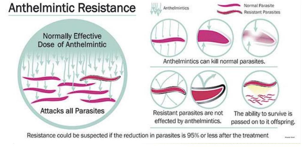 Rezistence Rezistence je schopnost konkrétní populace parazita tolerovat dávku