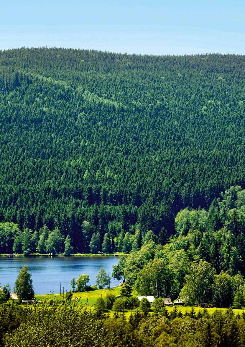 Severná Richland kopca datovania