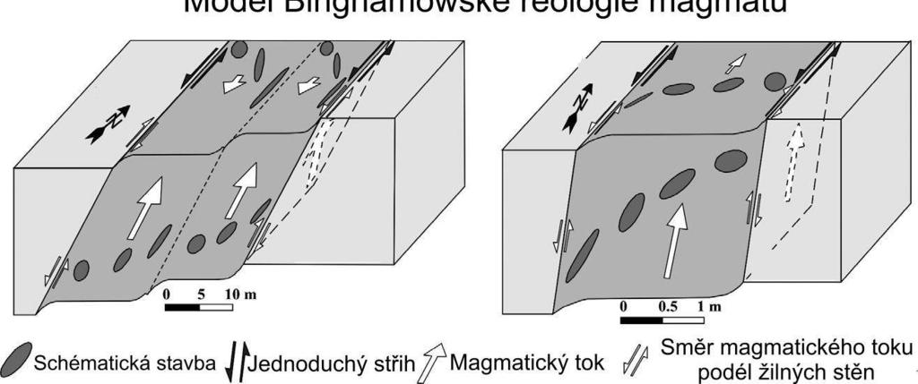 Na rozdíl od žil asymetrických (binghamovská reologie magmatu), symetrické žily (newtonovská reologie magmatu) se vyznačují vyššími rychlostmi deformace během toku magmatu, reprezentují menší objemy