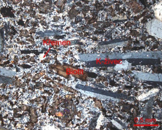 orfyrické vyrostlice byly tvořeny K - živcem, méně plagioklasem a křemenem. V rámci pořízeného výbrusového materiálu (viz Obr.
