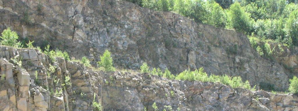 10. OKAIA NIHOŠOVICE okalita Nihošovice (49 11 0.99 s. š., 13 51 4 v. d.; činný lom Nihošovice) se nachází v západní části moldanubika (viz Obr. 10).