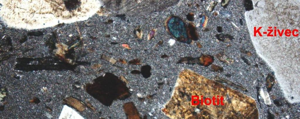 Hornina dále obsahuje Al-chudý magneziohornblend v podobě apomorfních fenokrystů, které evidentně krystalovaly přímo z taveniny (Holub et al., 2009).