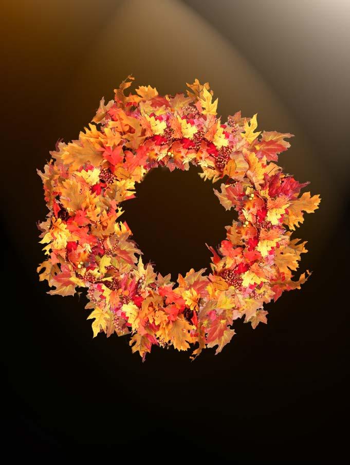 000 011 Colorful autumn