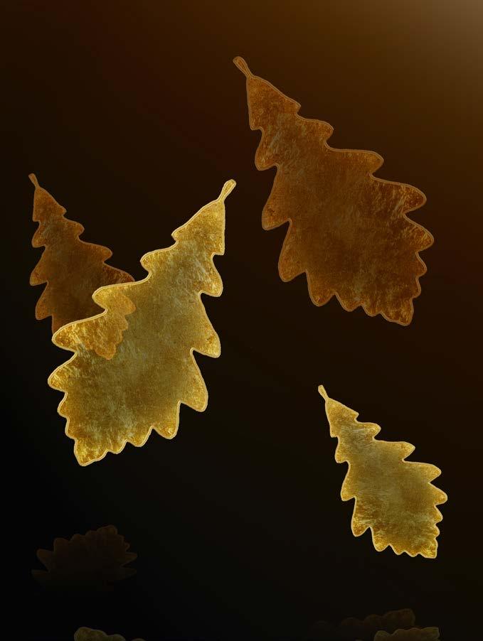 29 N 000 018 Decorative oak