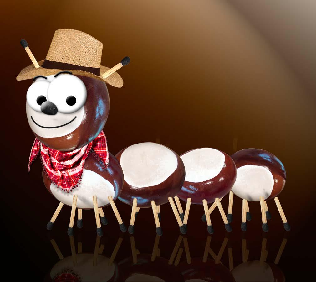 30 340 00937 Chestnut man