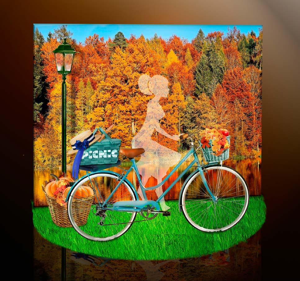37 N 000 023 Autumn photopoint