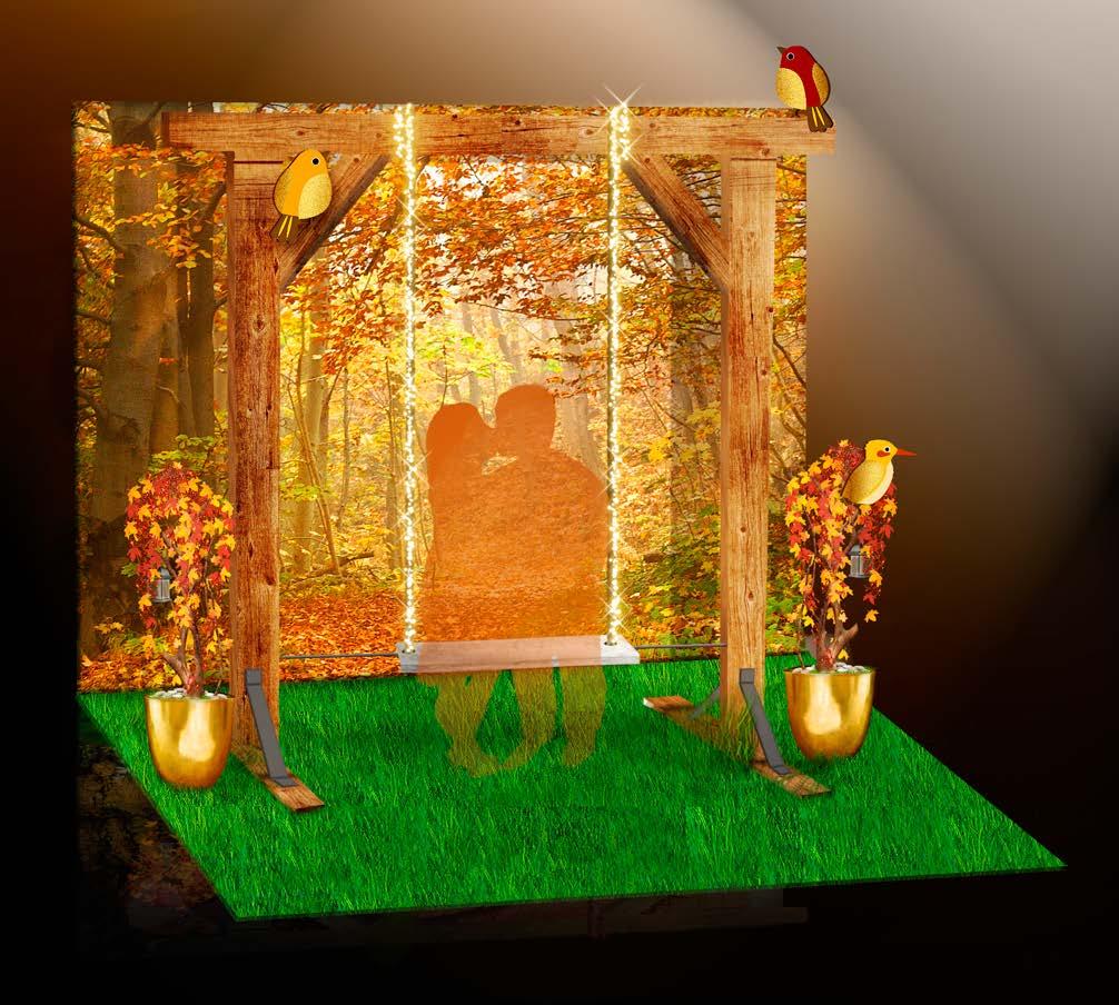 41 340 01223 Autumn photopoint
