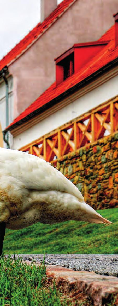 FOTO: archiv chom přepsali dějiny? směje se půvabná zámecká paní.