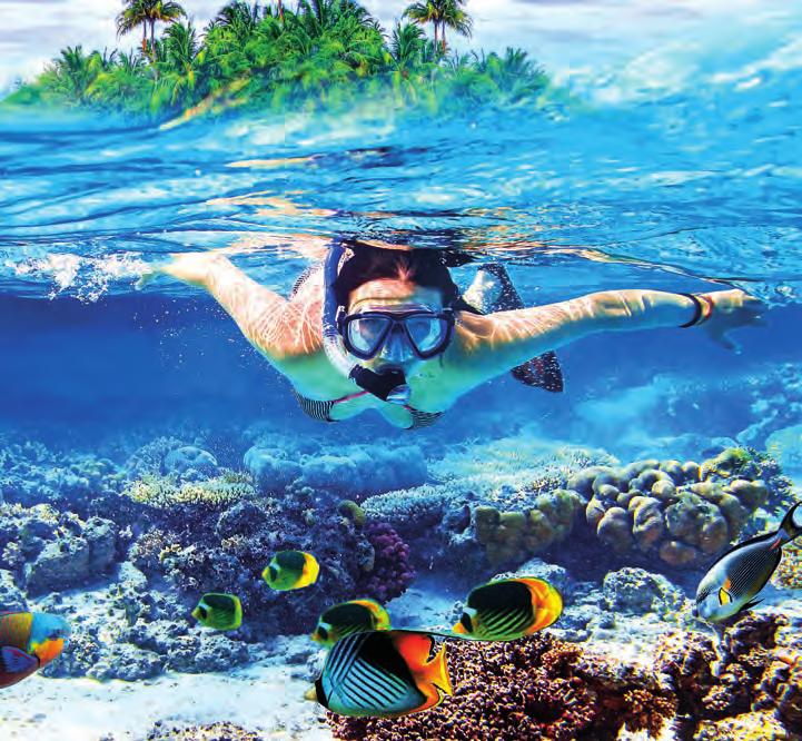 po práci INZERCE A181001530 Egypt trochu jinak: Sharm El Sheikh Ideální dovolená pro všechny, kdo touží obdivovat drsnou krásu zdejší přírody i neopakovatelné bohatství podmořského života Sharm El