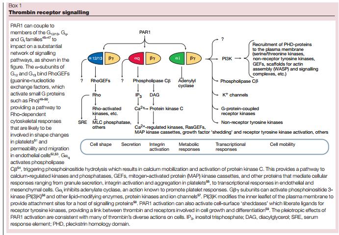 Coughlin SR: Thrombin signalling and