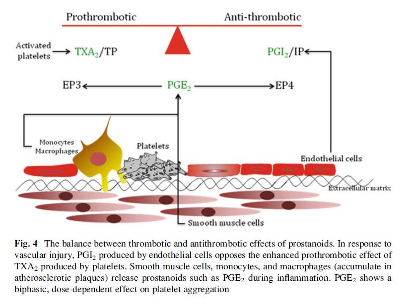 Kauskot A, Hoylaerts MF: Platelet receptors.
