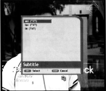 Titulky sú dostupné v dvoch základných formátoch: text (TXT) a DVB formát.