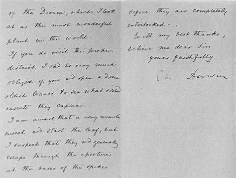 Modelový druh: mucholapka americká (Dionaea muscipula) Charles Darwin označil mucholapku