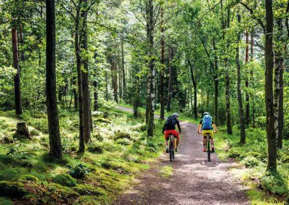 MTB SPORT SNADNÁ A KOMFORTNÍ JÍZDA VYVÁŽENÝ POMĚR CENA / VÝKON / ODOLNOST LEHKÉ VZDUCHOVÉ S MOŽNOSTÍ NASTAVENÍ DLE VÁHY JEZDCE HLAVNÍ BENEFITY Geometrie navržená pro vzpřímenější jízdní pozici