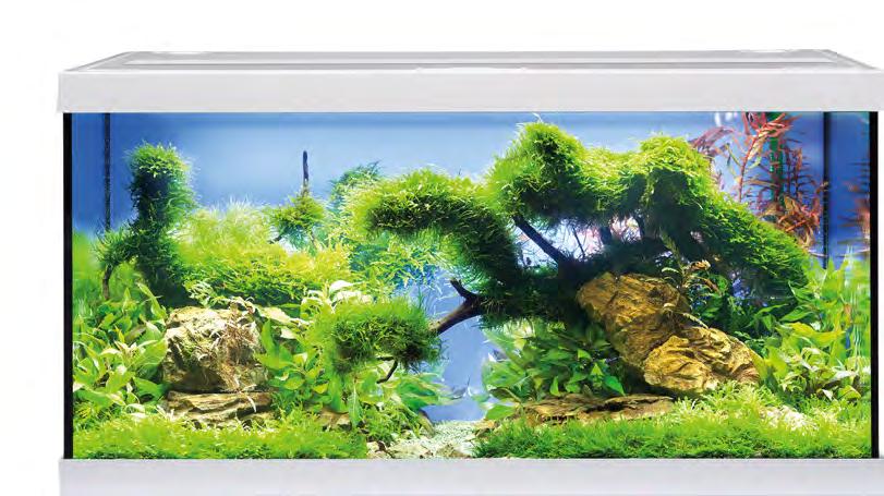 EHEIM aquastar 54 LED Ideální akvarijní set pro