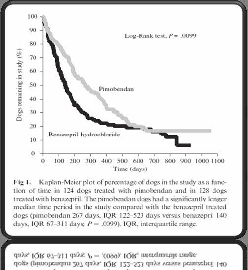 Journal of Veterinary