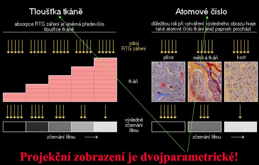 Primární