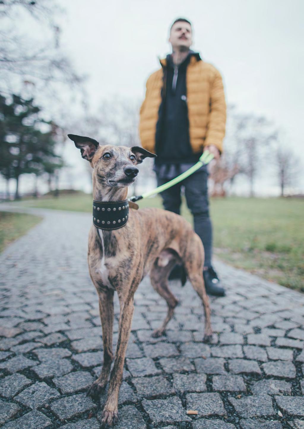 Urban prostředí se setkává