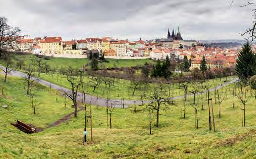 Proto je toto místo vyhledávaným útočištěm maminek, ale i obchodníků, kteří si chodí do centra Smíchova odpočinout obklopeni zelení.