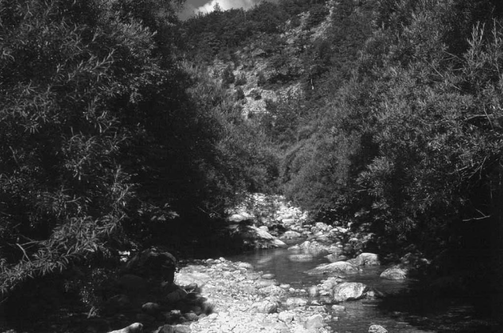 Fig. 2. Foraging habitat of three forms of the Myotis mystacinus group in nor thwes tern Montenegro (Vrb nica river, 3 km SE of Stabna, 5 km W of Plužine). Obr. 2. Lovný biotop tří forem skupiny Myotis mystacinus v severozápadní Černé Hoře (řeka Vrbnica, 3 km JV od Stabny, 5 km západně od Plužine).