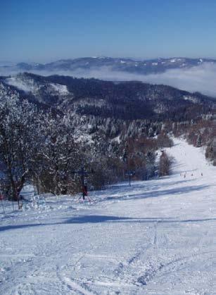 2019 (cca 85 osôb) 20. 01.