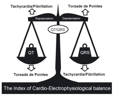 Úvod 2 QT interval ukazatelem trvání akčního potenciálu, resp.