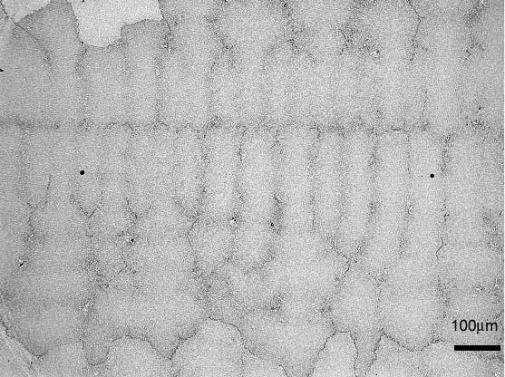 2.2. MIKROANALÝZA A MĚŘENÍ Experimentální materiál byl odebrán z míst vyznačených v tab.1 a 2.