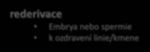 pro externí uživatele z ČR pro zahraniční uživatele