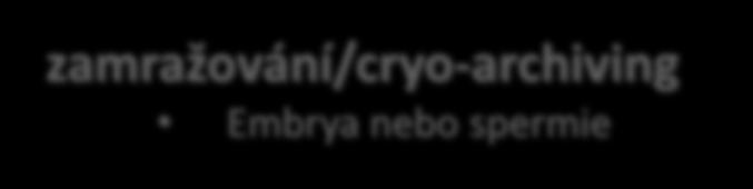 rederivace Embrya nebo spermie k ozdravení