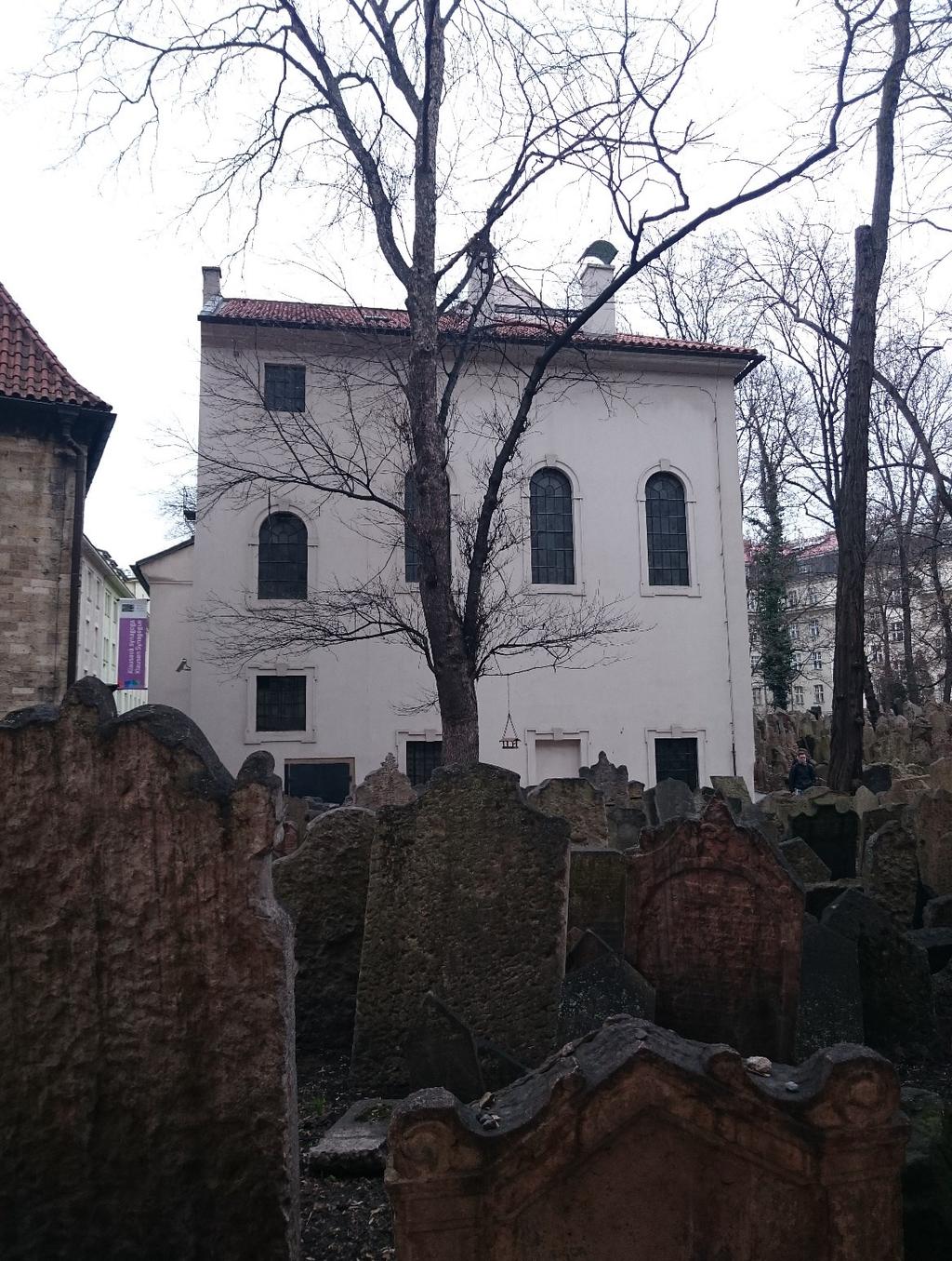 Příloha č. 3.